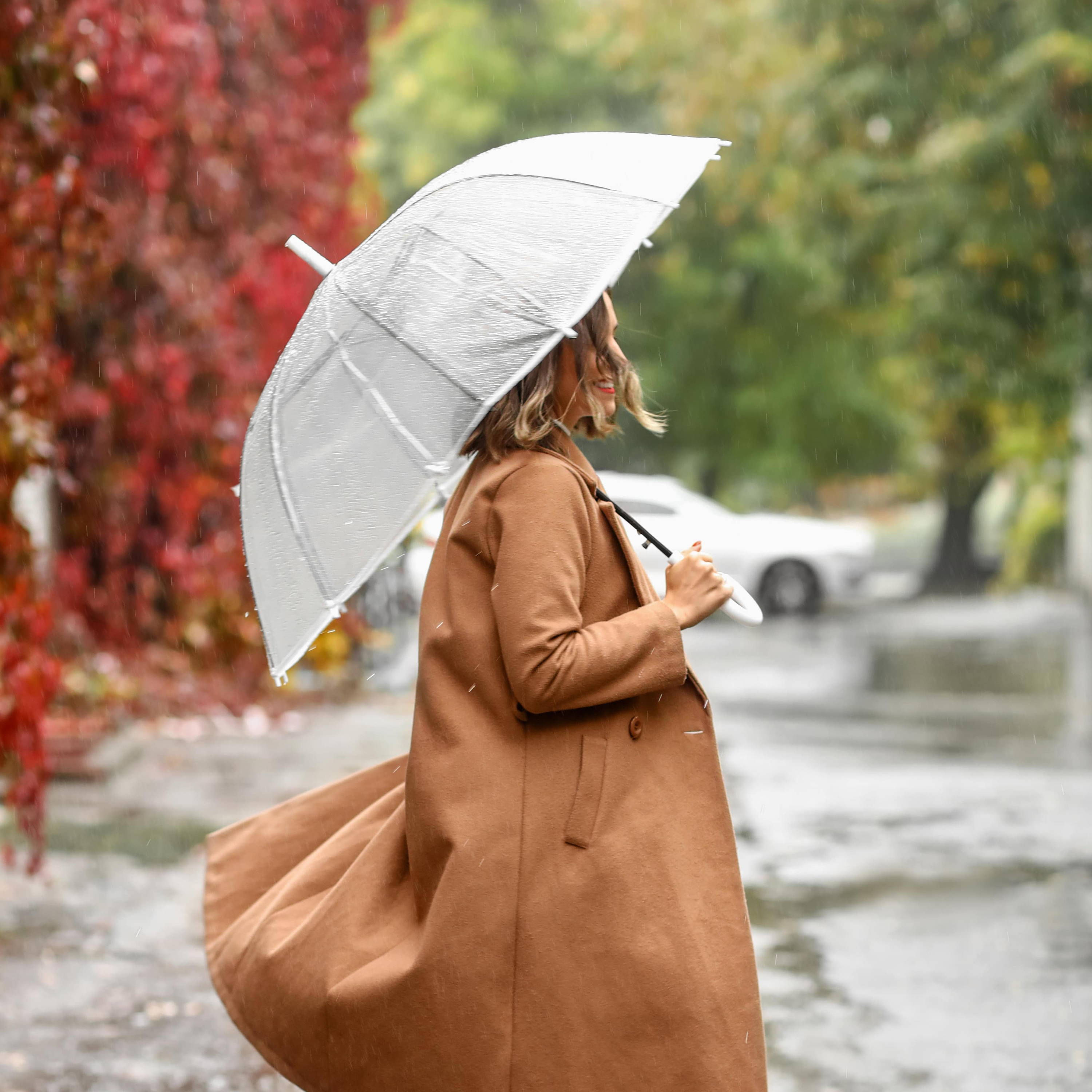 BPA IN SPORTS BRAS Vibrant Body Company BLOG blog Vibrant Body Company